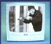 15 inch Monochrome Monitor