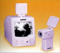 Wireless System